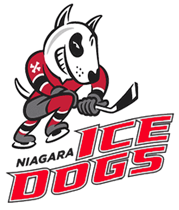 Niagara IceDogs 2007-pres primary logo iron on heat transfer